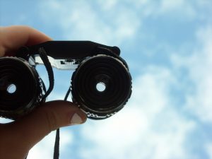 Binoculars to show property search through buyer agent